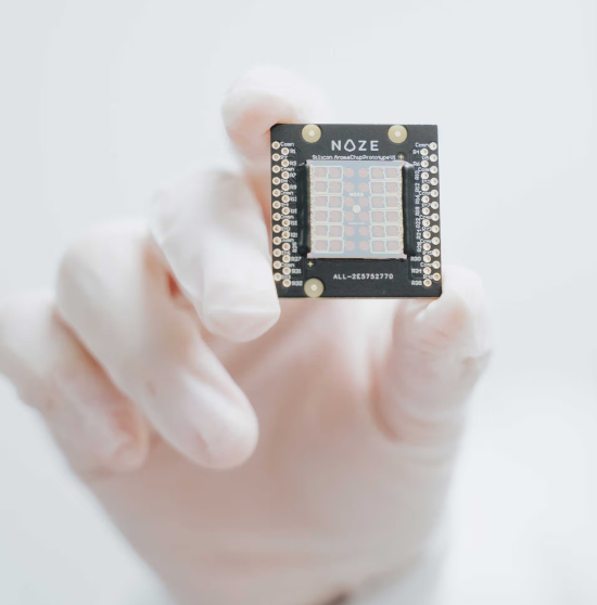 Noze Vision-Language Mapping Tool